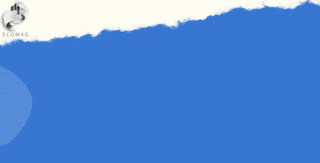 اکومگ سیاسی