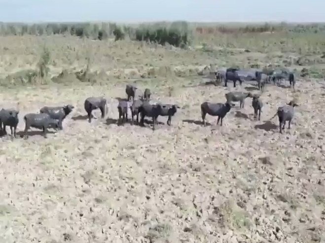 جزئیات مصوبات تیم اعزامی به خوزستان برای مقابله با تنش آبی این استان