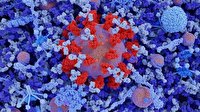 ویروس کرونای جدید از چه زمانی در میان انسان‌ها در گردش بوده است؟