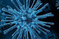 علت سرعت بالای انتشار دلتای ویروس کرونا چیست؟