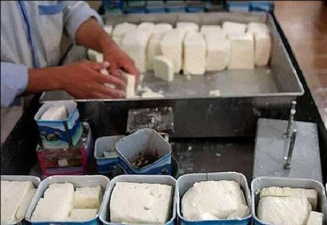 هر کیلو پنیرِ باز ۵۰ هزار تومان شد