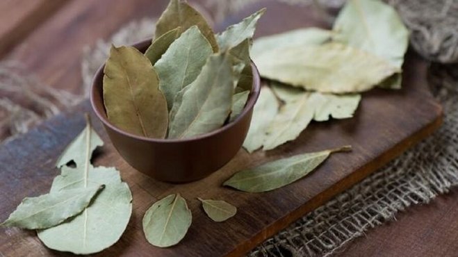 لاغری فوری با برگ بو ؛ دستوری قدیمی برای کاهش وزن