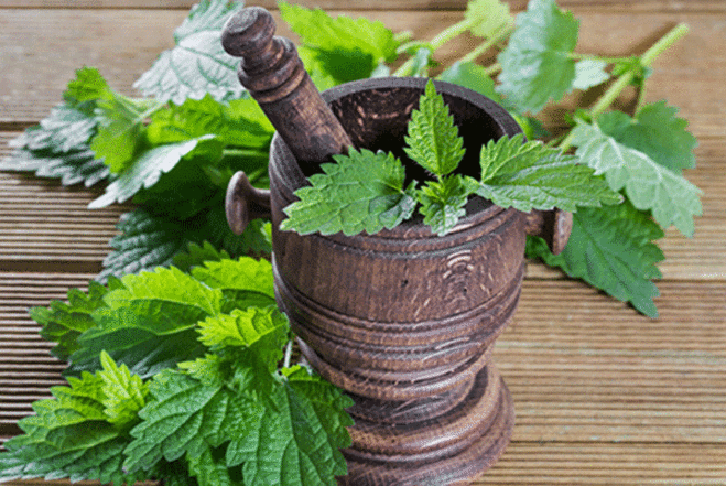 خواص شگفت‌انگیز برگ گزنه