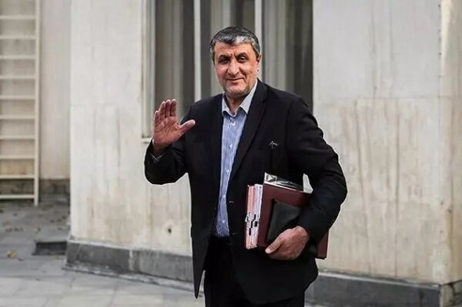 رئیس سازمان انرژی اتمی منصوب شد