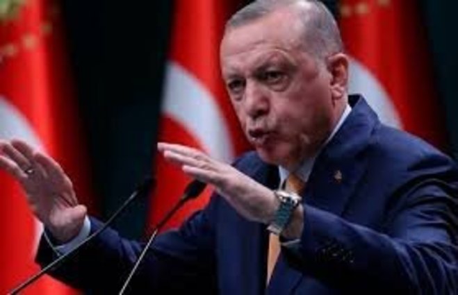 اردوغان: ترکیه قدرت میزبانی از پناهجویان افغان را ندارد
