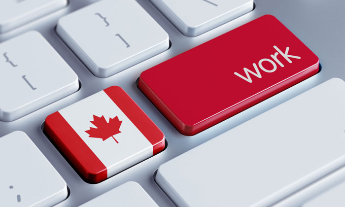 بهترین و ساده ترین شغل برای اخذ ویزای کار کانادا کدام است؟