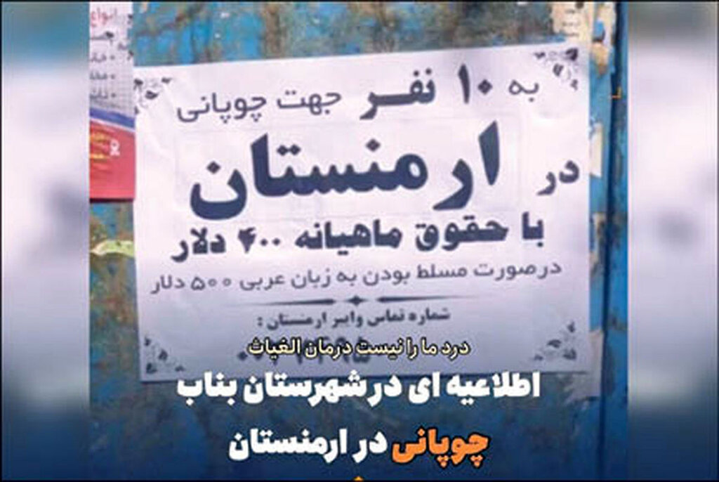 ماجرای استخدام چوپانان ایرانی در ارمنستان و جزئیات پرداخت حقوق