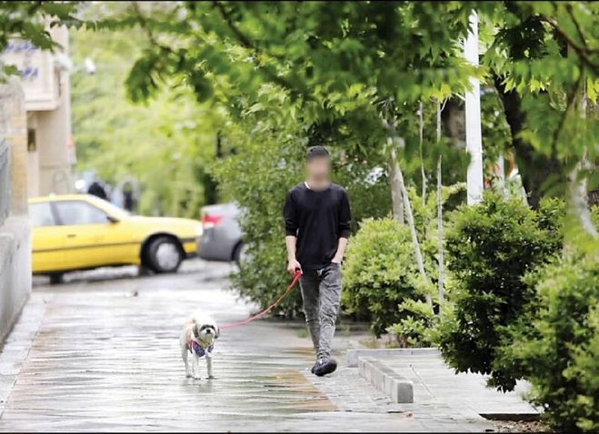 طرح مجلس: بند حیوانات خانگی در اجاره نامه  شکایت از همسایه به‌دلیل نگهداری حیوان
