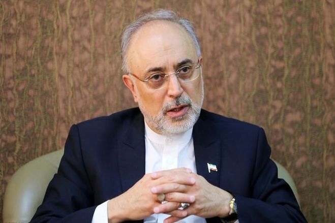 علی‌اکبر صالحی :
تاسیس شورای عالی دیپلماسی اقتصادی  تاسیس یک سازمان مجزا شرایط را بدتر می‌کند
