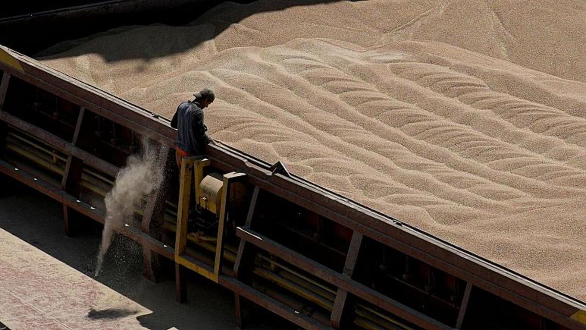 مقام روسی: ایران، عراق و عربستان به دنبال خرید گندم از منطقه اشغالی تحت تسلط مسکو در اوکراین هستند
