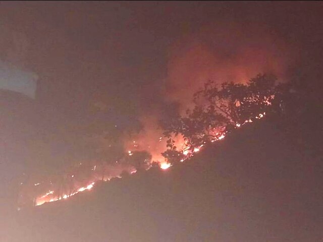 آتش به جان منطقه حفاظت شده افتـاد +تصویر