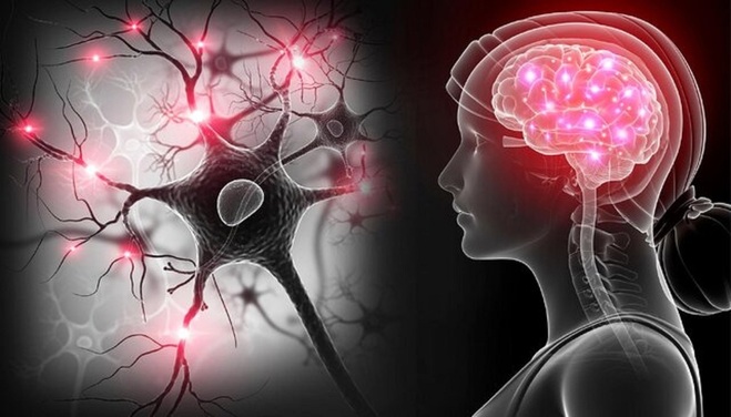 افشای یک راز مخوف درباره ویروس کرونـا