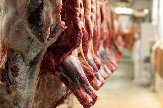 عرضه کنندگان گوشت از پرداخت مالیات معاف شدند