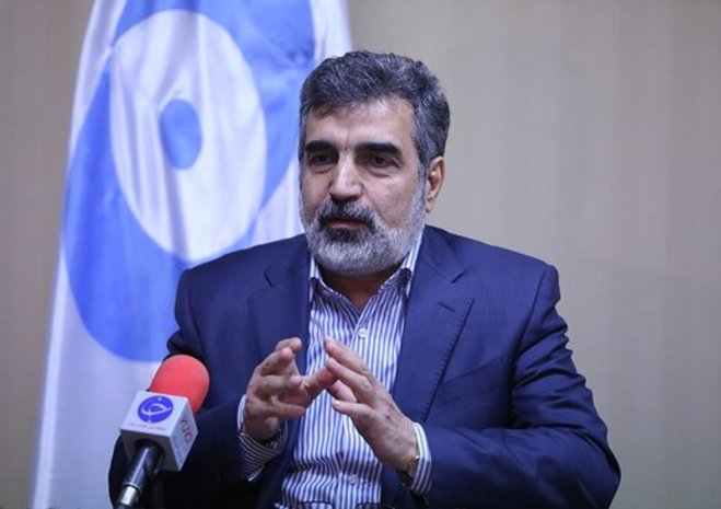پاسخ کمالوندی به آژانس: ادعاهایتان مبنای حقوقی ندارد، جواب سوالات را داده‌ایم