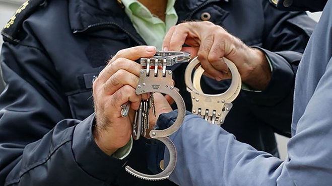 دختر کنجکاو، باند دزدان رابین‌هـودی را متلاشی کرد