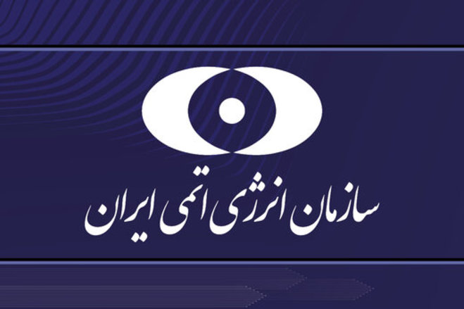 سازمان انرژی اتمی خبر هک را تایید کرد