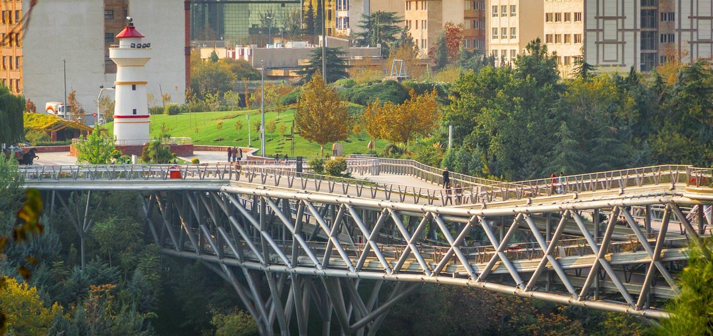 شبهای نوشهر کم از شبهای تهران ندارد شبهای نوشهر کم از شبهای تهران ندارد