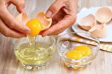۵ فایده اصلی تخم‌مرغ برای سلامتی؛ بالاخره سفیده بخوریم یا زرده؟