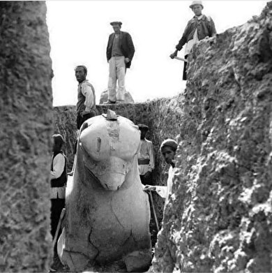 جنجال دیده شدن پرنده باستانی ایران؛ نقش همای سعادت بر ستون‌های تخت جمشید! +تصویر