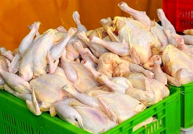 وضعیت مردم در بازار مرغ و گوشت به مبادله کالا به کالا رسید!
