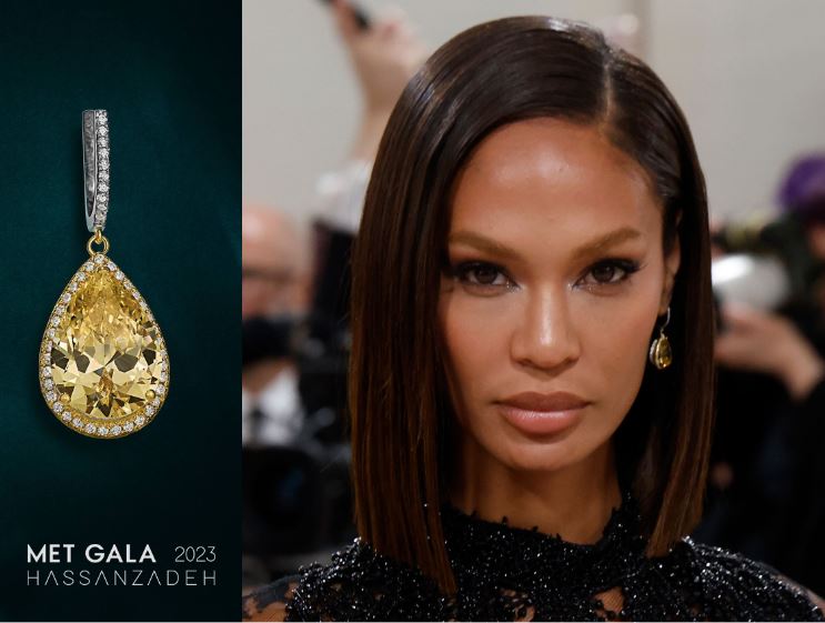 «جواهری حسنزاده» در مِت گالا «جواهری حسنزاده» در مِت گالا