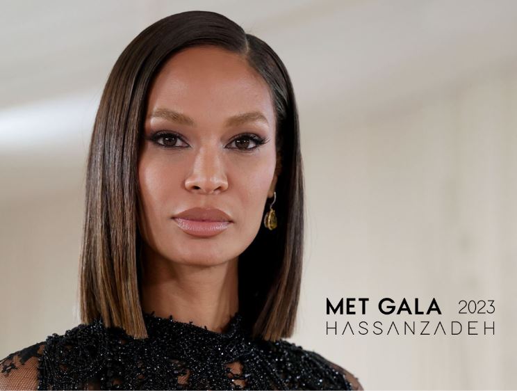 «جواهری حسن‌زاده» در مِت گالا