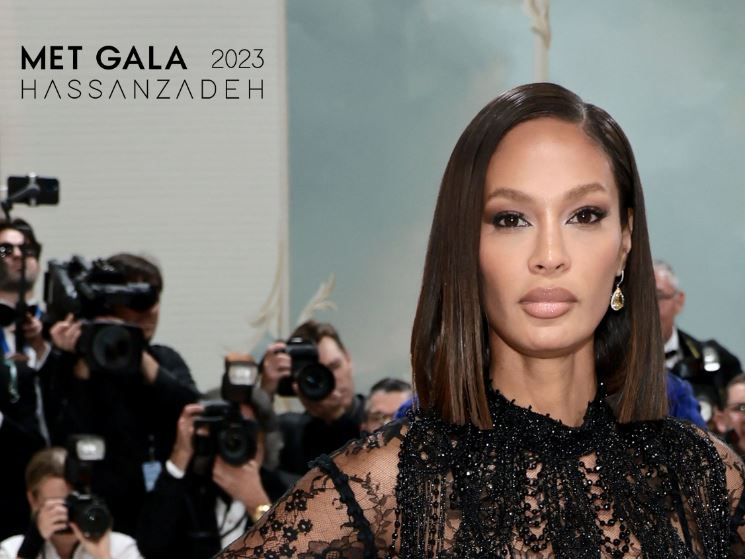 «جواهری حسنزاده» در مِت گالا «جواهری حسنزاده» در مِت گالا