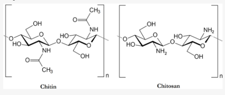 اهمیت کیتوسان در صنایع شیمیایی