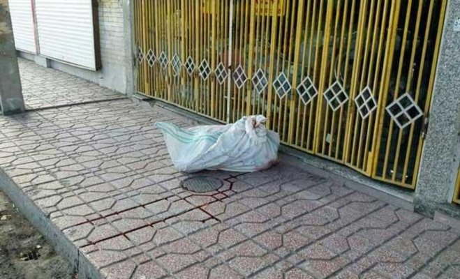 کشف جسد مثله‌شده یک زن دیگر در تهران؛ با قتل‌های سریالی مواجهیم؟