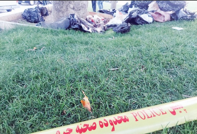 کشف ۲ جسد مثله شده زنان در تهران چه ارتباطی با هم دارند؟