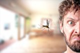 این ویژگی‌ها را دارید حتما پشه‌ها سمت‌تان می‌آیند؛ موثرترین راه‌ فرار از نیش چیست؟