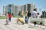 گزارش روزنامه شهرداری تهران درباره یک شغل جدید با عنوان «یک زندگی سگی»!