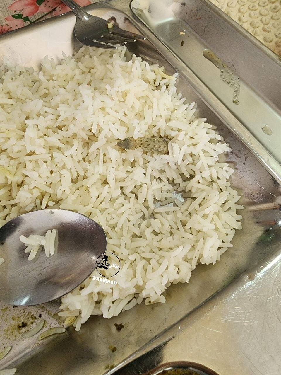 جنجال مشاهده موجود غیرعادی در وسط غذای دانشجو بی‌نوای ایرانی +عکس