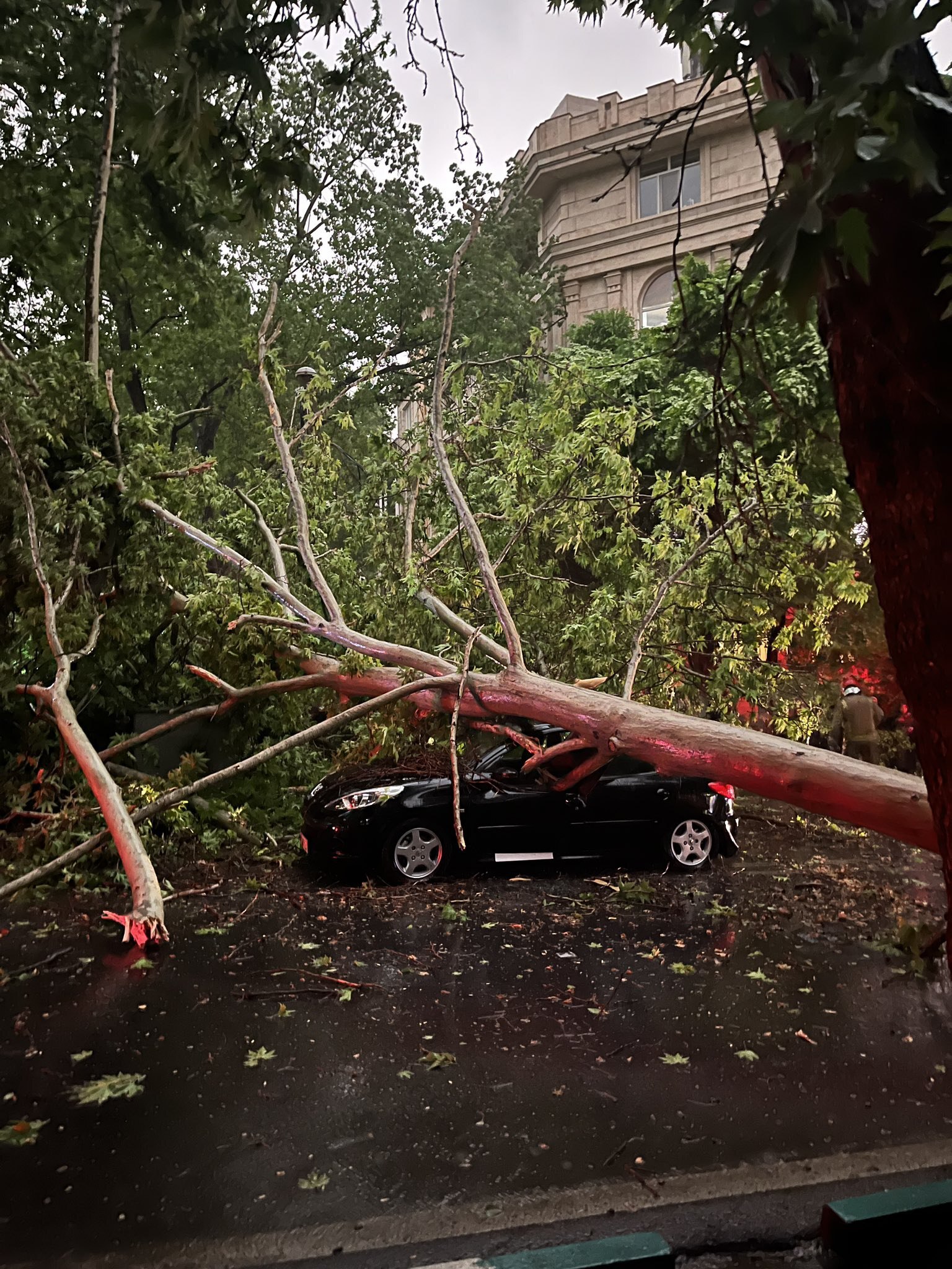 تصاویری از ورود بی‌خبر توفان و باران به شهر تهران و خسارات آن