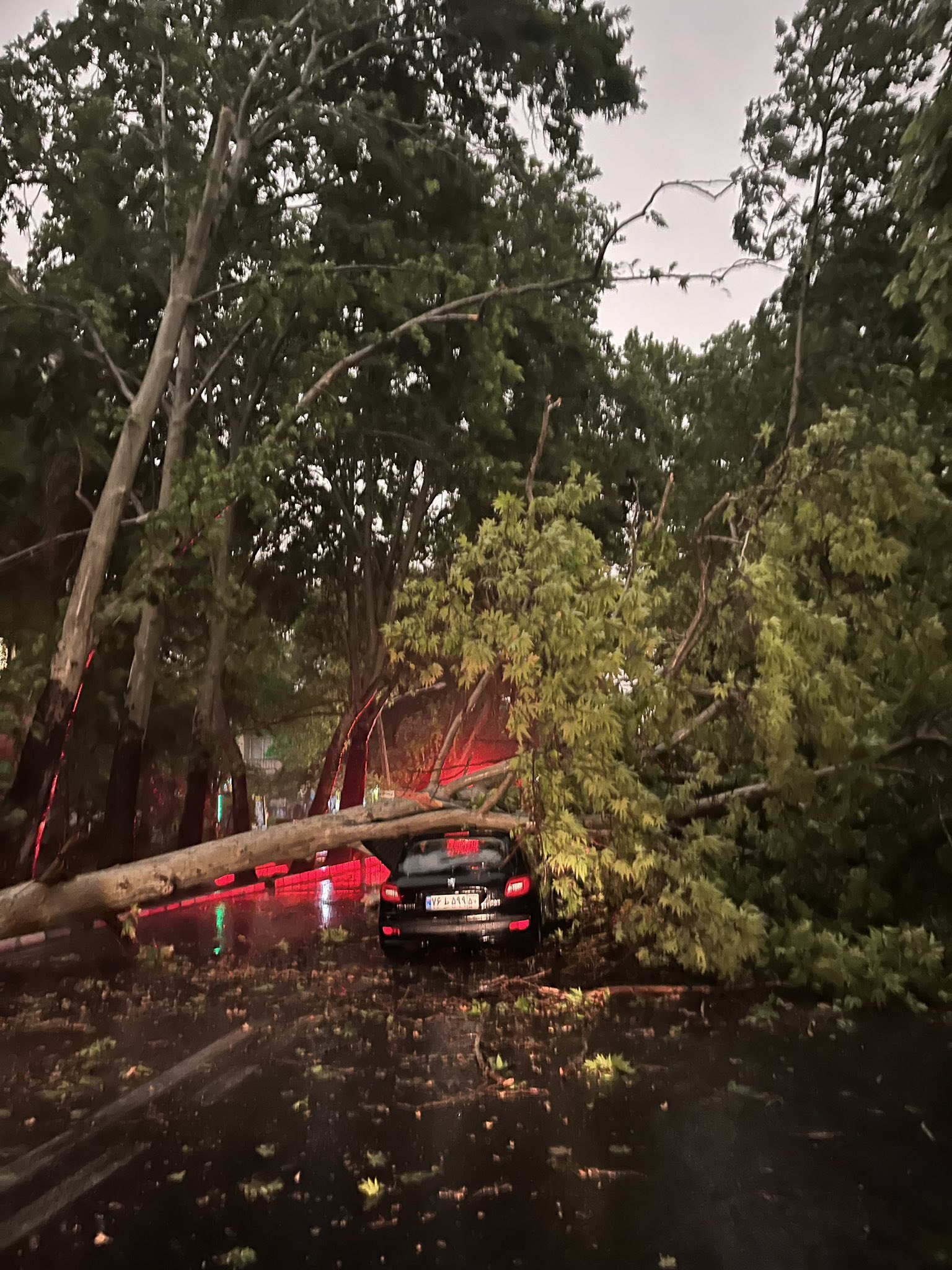 تصاویری از ورود بی‌خبر توفان و باران به شهر تهران و خسارات آن