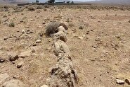 ماجرای دست‌درازی به محوطه ناشناس ساسانیان برای ساخت و ساز مرغداری! +عکس