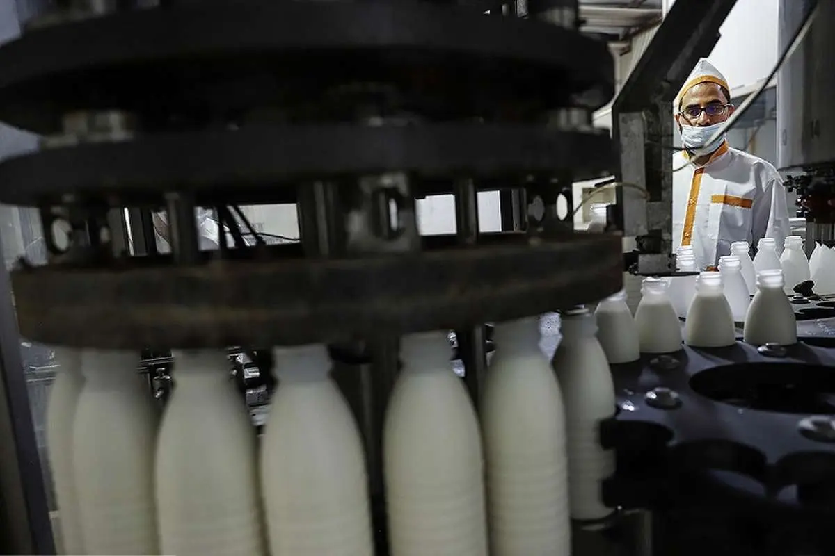 لبنیات ۳۰ درصد گران شد