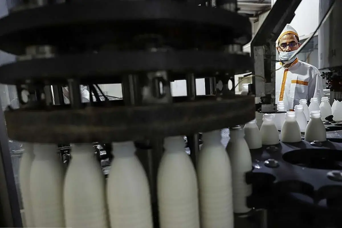 لبنیات ۳۰ درصد گران شد