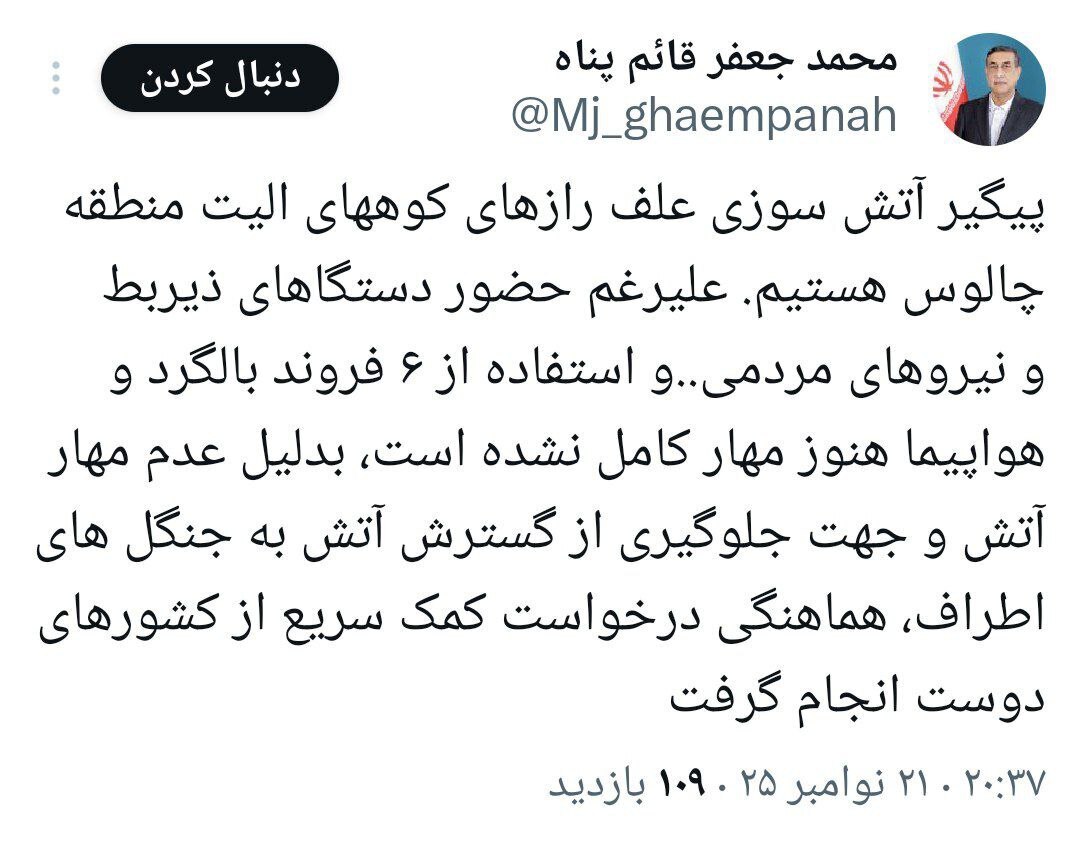 معاون اجرایی پزشکیان جنگل‌های هیرکانی در آتش و دود را «علف‌زار» نامید!