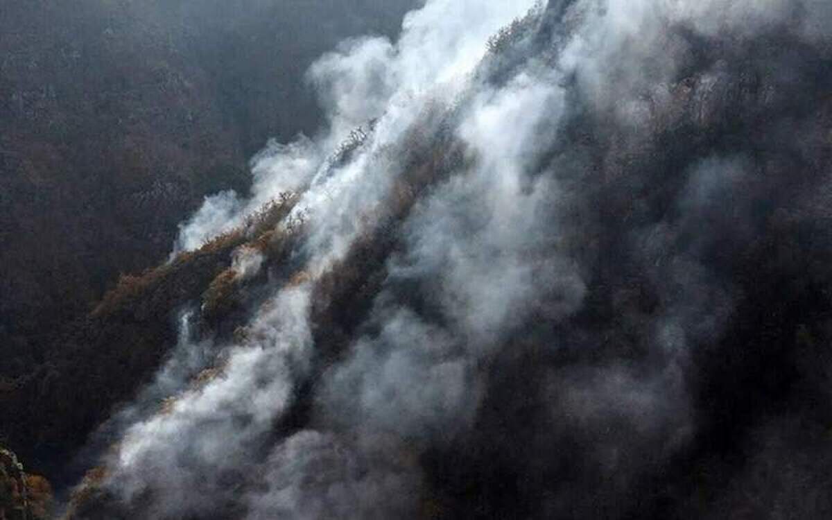 الان وقت غرور و آبروداری نیست، برای هیرکانی کمک جهانی بخواهید   یک عدد ایلیوشین ۴۰ تن آب را باید در مهرآباد پر کند   چرا غول کاسپین را زودتر بلند نکردید؟